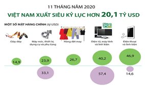 Việt Nam xuất siêu kỷ lục hơn 20,1 tỷ USD trong 11 tháng năm 2020