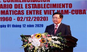 Mít tinh Kỷ niệm 60 năm thiết lập quan hệ ngoại giao Việt Nam - Cuba