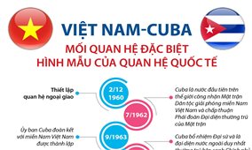 Việt Nam-Cuba: Mối quan hệ đặc biệt, hình mẫu của quan hệ quốc tế