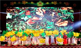 Lễ hội Trà hoa vàng và Lễ hội Bàn Vương huyện Ba Chẽ sẽ diễn ra vào cuối tháng 12