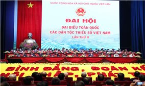 Khai mạc Đại hội đại biểu toàn quốc các DTTS Việt Nam lần thứ II năm 2020