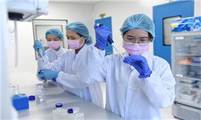 Lộ trình thử nghiệm vaccine ngừa Covid-19 tại Việt Nam