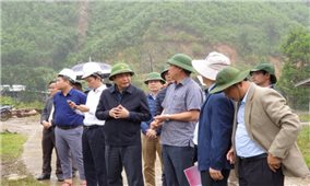 Khảo sát vị trí tái định cư cho người dân bị sạt lở đất ở Quảng Nam