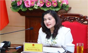 Công bố Báo cáo điều tra quốc gia về Lao động trẻ em Việt Nam