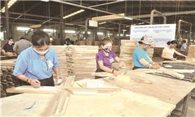 Tăng tỷ trọng xuất khẩu sản phẩm gỗ có giá trị gia tăng: Thúc đẩy kinh tế lâm nghiệp phát triển bền vững