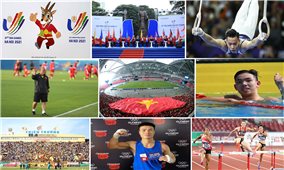 Dấu ấn Thể thao Việt Nam 2020