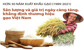 Hơn 30 năm xuất khẩu gạo (1989-2021): Khẳng định thương hiệu gạo Việt Nam