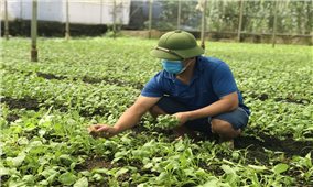 Đông Anh (Hà Nội): Sản phẩm OCOP – Nâng tầm vị thế nông sản địa phương