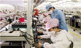 Bắc Ninh: Tập trung triển khai Quỹ BH thất nghiệp và thúc đẩy thị trường việc làm sau đại dịch
