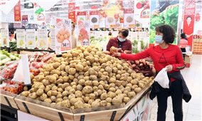 Quảng Ninh: Hỗ trợ người dân tiêu thụ nông sản