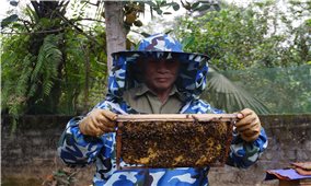 Thu nhập cao từ nghề nuôi ong