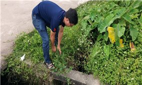 Hà Tĩnh: Khốn khổ vì tồn dư thuốc bảo vệ thực vật