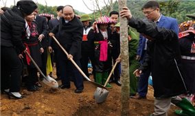 Thủ tướng ra Chỉ thị về trồng 1 tỷ cây xanh và bảo vệ rừng