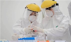 Việt Nam phát hiện chủng virus biến thể mới SARS-CoV-2 của Nam Phi