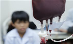 Thiếu 13.000 đơn vị máu cho dịp Tết Nguyên đán