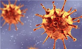 Phát hiện biến chủng mới của virus SARS-CoV-2 có thể làm “vô hiệu hóa” xét nghiệm PCR
