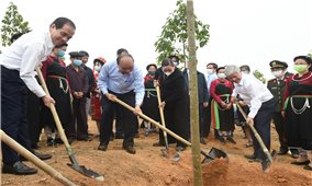 Thủ tướng Nguyễn Xuân Phúc: Trồng cây xanh để thúc đẩy quốc kế dân sinh