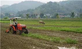 Lào Cai: Nông dân phấn khởi xuống đồng, hứa hẹn vụ xuân năng suất