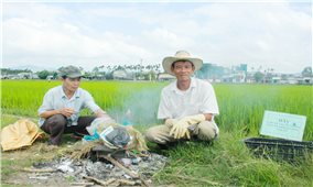 Hai lão nông ở Quảng Ngãi tự nguyện thu gom rác thải nông nghiệp