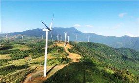 Vào “thủ phủ” điện gió: Kỳ vọng từ nguồn năng lượng tái tạo (Bài 1)