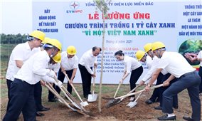 EVNNPC trồng gần 200 cây xanh tại Làng Văn hóa - Du lịch các dân tộc Việt Nam