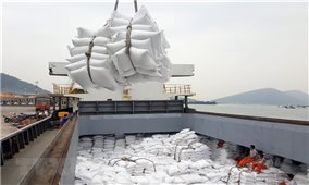 Bộ Nông nghiệp Mỹ dự báo Việt Nam sẽ tiếp tục đứng thứ 2 về xuất khẩu gạo