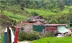 Lào Cai: Dông lốc gây thiệt hại về nhà ở và sản xuất nông nghiệp