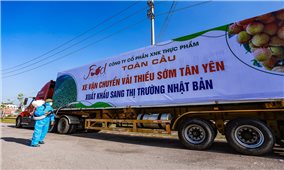 Bắc Giang: “Vượt dịch” xuất khẩu vải thiều