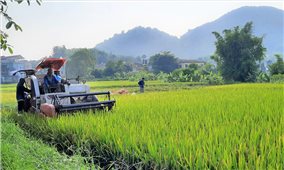 Sản xuất nông nghiệp vùng DTTS, miền núi: Hiệu quả nâng cao khi được cơ giới hóa