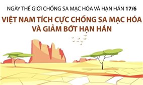 Việt Nam tích cực chống sa mạc hóa và giảm bớt hạn hán