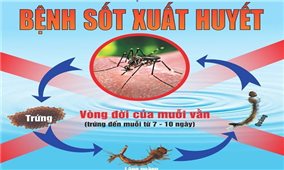 Đắk Lắk: Khuyến cáo người dân cần chủ động phòng, chống dịch sốt xuất huyết