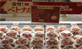 Người tiêu dùng Nhật Bản ngày càng ưa chuộng sản phẩm của Việt Nam