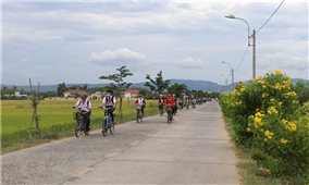 Kiên Giang dự kiến hơn 450 tỷ đồng xây dựng nông thôn mới năm 2021