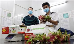 Hoa Kỳ - Thị trường tiềm năng của trái cây Việt Nam