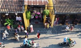 Khảo sát: Hơn 60% người Nhật Bản muốn đi du lịch Việt Nam