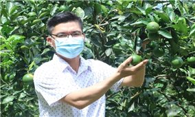 Hà Tĩnh: Nông dân miền núi Vũ Quang làm giàu nhờ Quỹ Hỗ trợ nông dân