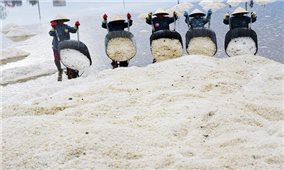 Khánh Hòa: Gắn kết hoạt động du lịch biển với du lịch trải nghiệm sản xuất và chế biến muối