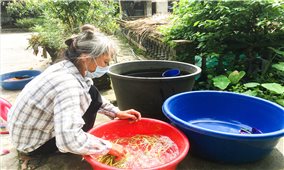 Bảo Thắng (Lào Cai): Nhà máy nước khánh thành gần 2 năm, dân vẫn dùng nước giếng