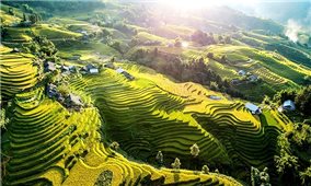 Top những điểm đến chụp ảnh được ưa thích nhất tại Việt Nam