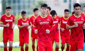 Chuyện V-League và đội tuyển Việt Nam