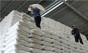 Hà Nội tặng TP. Hồ Chí Minh và Bình Dương 6.000 tấn gạo