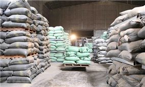 Chính phủ xuất hơn 130.000 tấn gạo hỗ trợ người dân 24 tỉnh, thành phố gặp khó khăn do dịch COVID-19