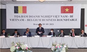 Chủ tịch Quốc hội Vương Đình Huệ dự Tọa đàm doanh nghiệp Việt Nam - Vương quốc Bỉ