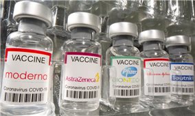 Bộ Y tế hướng dẫn tiêm kết hợp vaccine AstraZeneca, Pfizer và Moderna