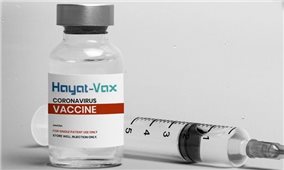 Bộ Y tế phê duyệt vaccine Hayat-Vax cho nhu cầu cấp bách phòng, chống dịch COVID-19