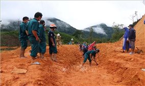 Khắc phục hậu quả bão số 5 tại Trà Bồng, Quảng Ngãi
