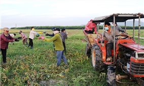 Dương Đình Lợi - Người bắt đất hoang đẻ ra tiền