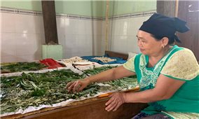 Người Thái ở Chư A Thai gắn bó với nghề nuôi tằm ăn lá mì