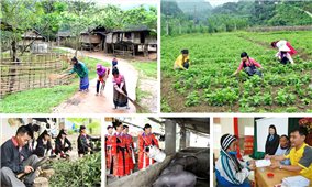 Đẩy mạnh thực hiện các chính sách giảm nghèo bền vững nhân Ngày Vì người nghèo Việt Nam