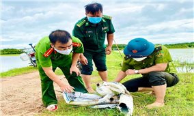Phá hủy hàng nghìn bẫy cò trên cánh đồng huyện Quảng Trạch